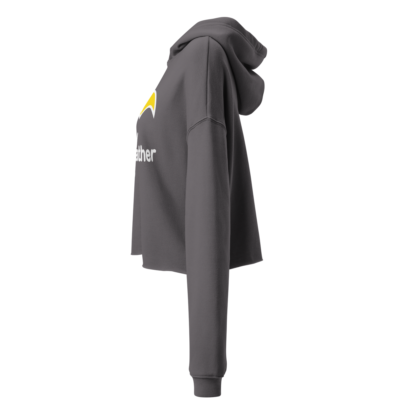 Logo Crop Hoodie