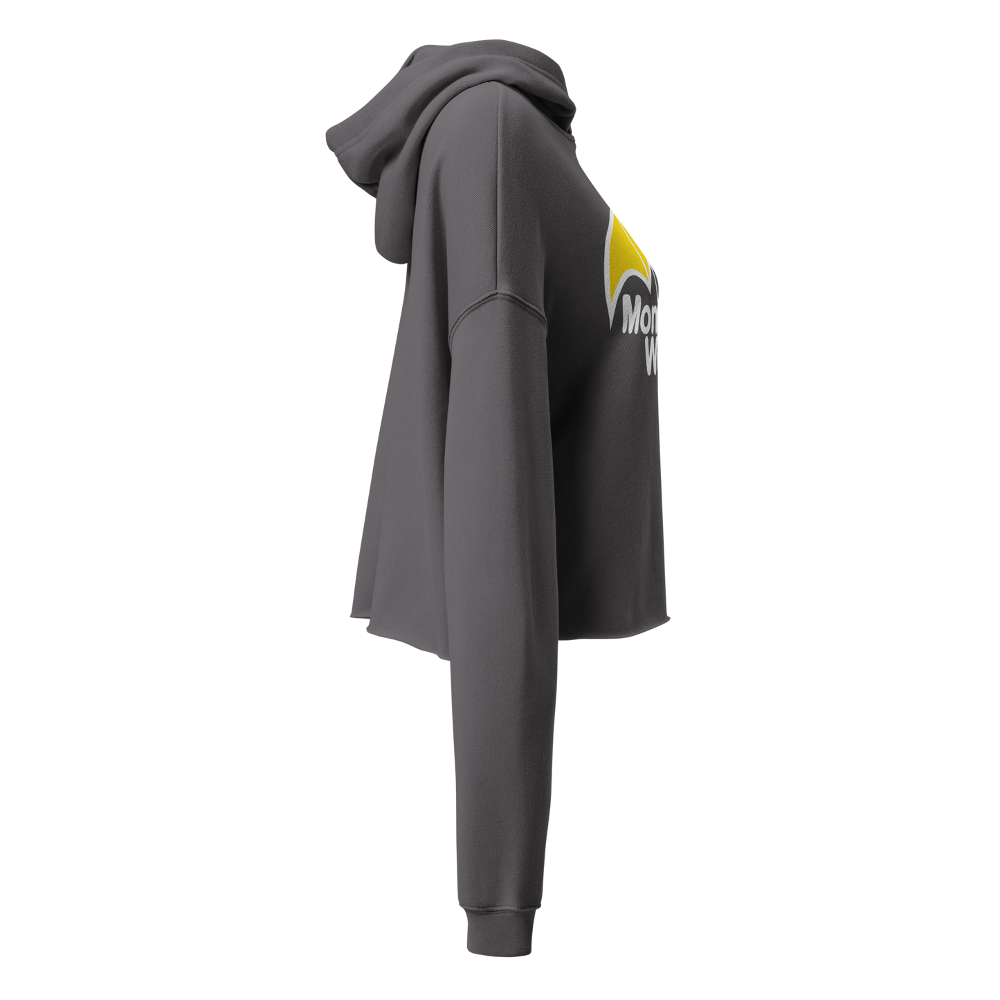 Logo Crop Hoodie