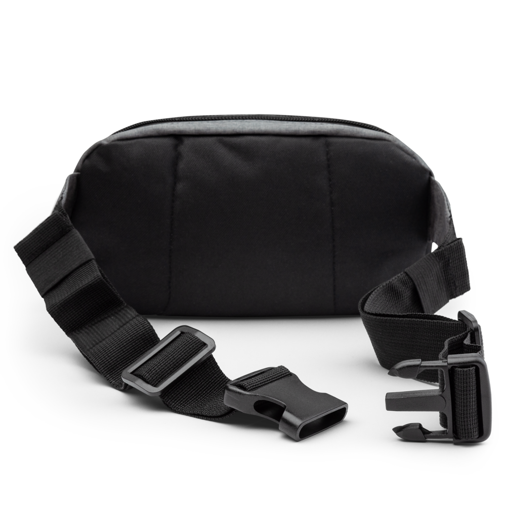 Money Weather Champion Embroidered fanny pack